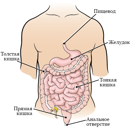 Когда же люди перестанут посещать места силы?