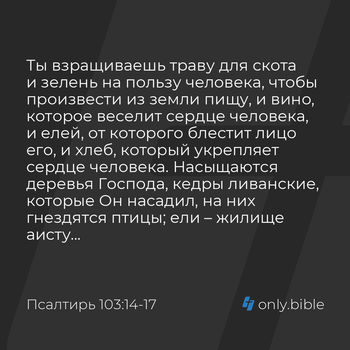 СОЛНЦЕ. ЧТО ТЫ ВЗРАЩИВАЕШЬ В СВОЁМ СЕРДЦЕ?