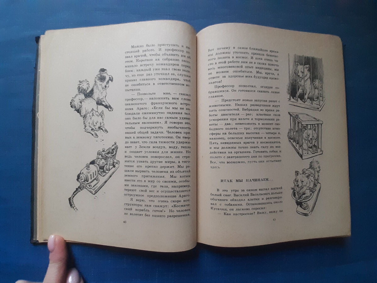 Вибрации Вселенной: законы и их влияние на жизнь
